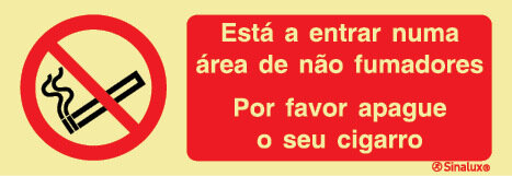 P3516 PVC fotoluminescente 300x100 TIPO 3