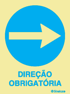 P4462 PVC fotoluminescente 300x400 TIPO 2