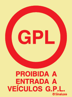 P4457 PVC fotoluminescente 300x400 TIPO 3