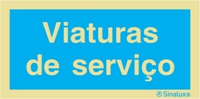 P3142 PVC fotoluminescente 300x150 TIPO 1