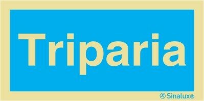 P3130 Alumínio plastificado 300x150 TIPO 1