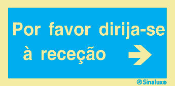 P2957 PVC fotoluminescente 300x150 TIPO 2