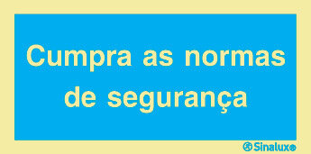 P2749 PVC fotoluminescente 400x200 TIPO 2