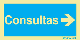 P2737 PVC fotoluminescente 400x200 TIPO 1