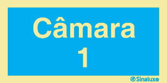P2696 PVC fotoluminescente 400x200 TIPO 1