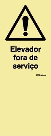 P4228 PVC fotoluminescente 300x800 TIPO P