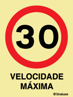 P4452 PVC fotoluminescente 400x600 TIPO 1