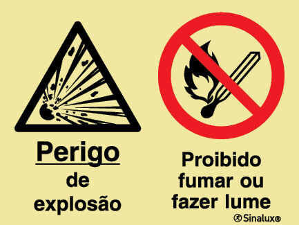 P2165 PVC fotoluminescente 400x300 TIPO 3