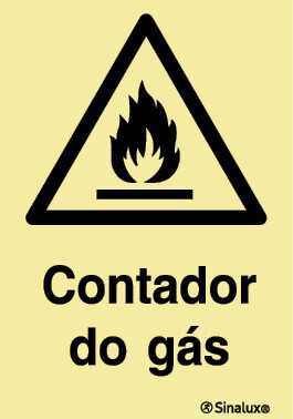 P3811 PVC fotoluminescente 200x300 TIPO 1