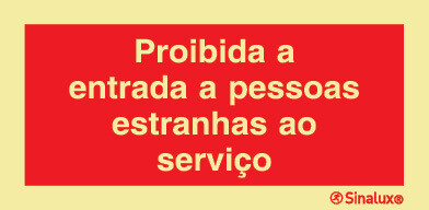P1966 PVC fotoluminescente 200x100 TIPO 1