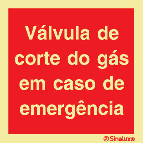 P0749 PVC fotoluminescente 300x300 TIPO 3