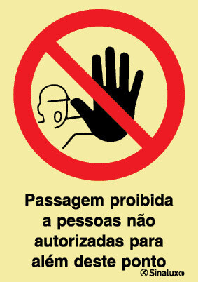 P1733 PVC fotoluminescente 400x600 TIPO 1