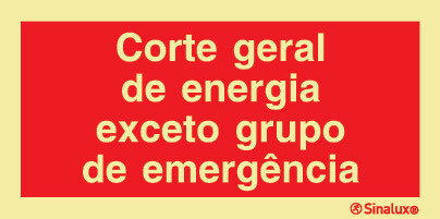 P0885 PVC fotoluminescente 400x200 TIPO 1