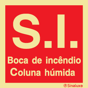 P0740 PVC fotoluminescente 300x300 TIPO 2