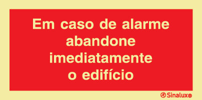 P0837 PVC fotoluminescente 300x150 TIPO 1