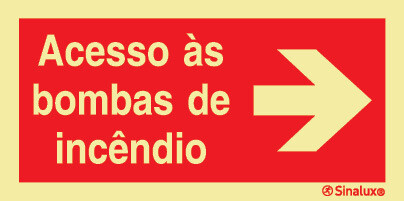 P0772 PVC fotoluminescente 300x150 TIPO 1