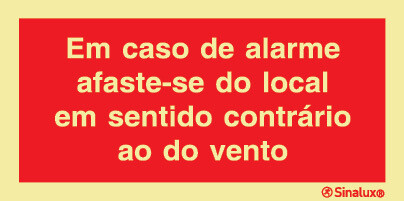 P0838 PVC fotoluminescente 200x100 TIPO 1