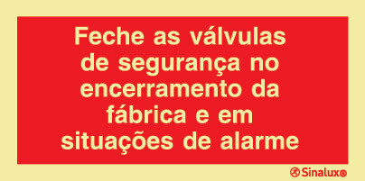 P0846 PVC fotoluminescente 400x200 TIPO 1