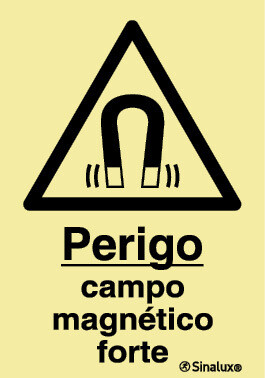 P1310 PVC fotoluminescente 300x400 TIPO 2