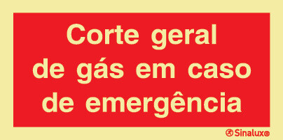 P0824 PVC fotoluminescente 400x200 TIPO 3