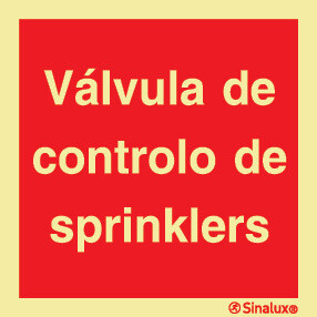P0747 PVC fotoluminescente 300x300 TIPO 1