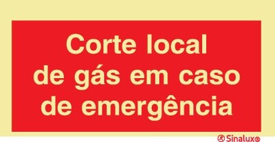 P0831 PVC fotoluminescente 300x150 TIPO 1