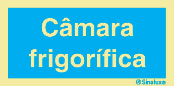 P2707 PVC fotoluminescente 400x200 TIPO 1