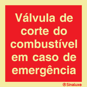 P0748 PVC fotoluminescente 300x300 TIPO 2