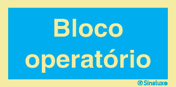 P2684 PVC fotoluminescente 400x200 TIPO 1
