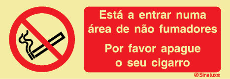 P3516 PVC fotoluminescente 300x100 TIPO 1