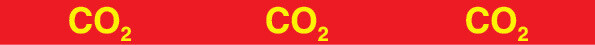 P3298 Vinil fotoluminescente 400x30 TIPO 1