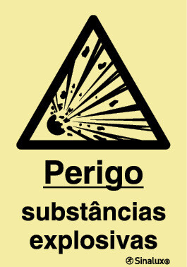 P1254 PVC fotoluminescente 400x600 TIPO 2