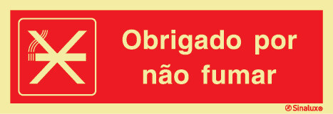 P3517 PVC fotoluminescente 400x150 TIPO 1