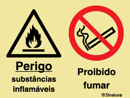 P2169 PVC fotoluminescente 400x300 TIPO 1
