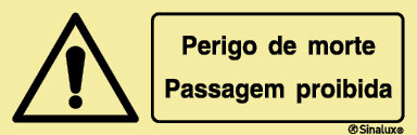P1380 PVC fotoluminescente 300x100 TIPO 3