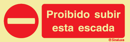 P1954 PVC fotoluminescente 300x100 TIPO 2