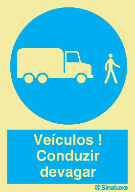 P1562 PVC fotoluminescente 200x300 TIPO 3