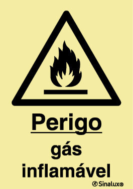 P1264 PVC fotoluminescente 200x300 TIPO 2