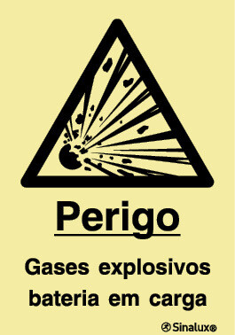 P1256 PVC opaco 200x300 TIPO 1