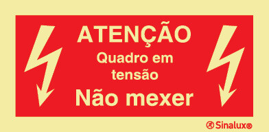 P1968 PVC fotoluminescente 300x150 TIPO 3
