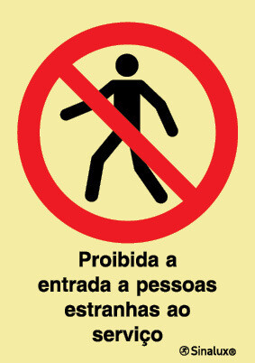 P1739 PVC fotoluminescente 150x200 TIPO 3