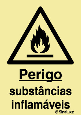 P1262 PVC fotoluminescente 200x300 TIPO 1