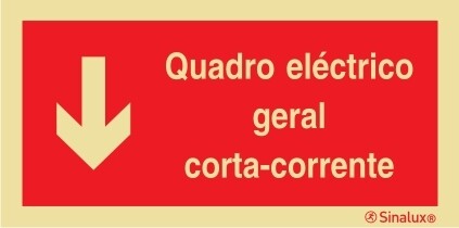 P0863 PVC fotoluminescente 400x200 TIPO 2