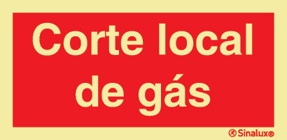 P0830 PVC fotoluminescente 300x150 TIPO 1