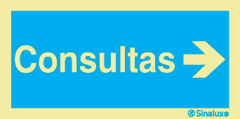P2737 PVC fotoluminescente 300x150 TIPO 2