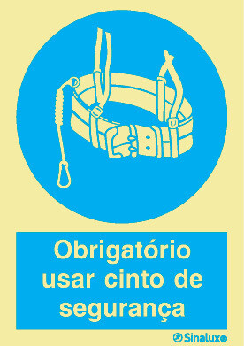 P1515 PVC fotoluminescente 200x300 TIPO 2