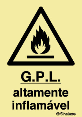 P1263 PVC fotoluminescente 200x300 TIPO 1