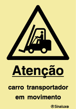 P1212 Vinil autocolante opaco 200x300 TIPO 1