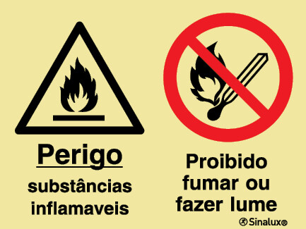 P2170 PVC fotoluminescente 600x400 TIPO 1