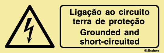 P4829 Vinil fotoluminescente 300x100 TIPO 1